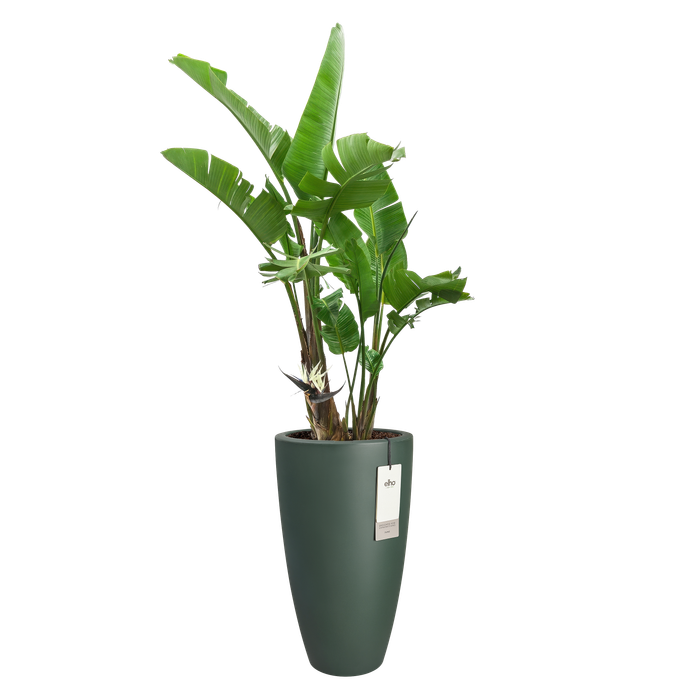 june round high 30cm emerald grün